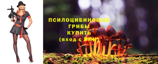 дурь Инсар
