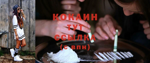 дурь Инсар