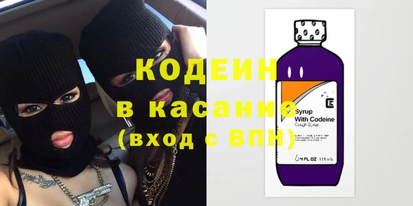 дурь Инсар