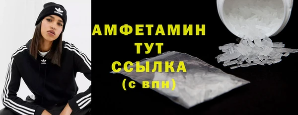 дурь Инсар