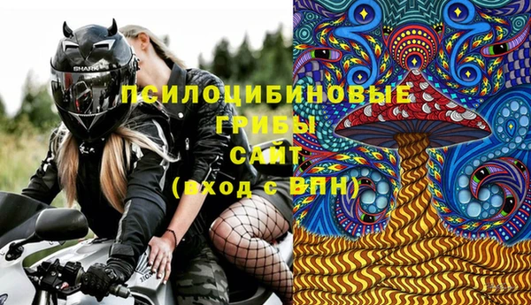 дурь Инсар