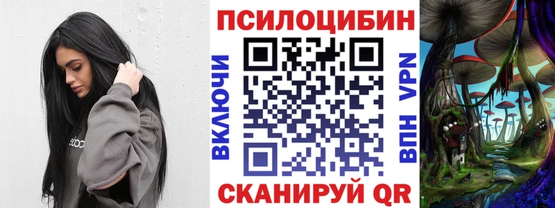 Псилоцибиновые грибы Psilocybine cubensis  Купить где  Черепаново 